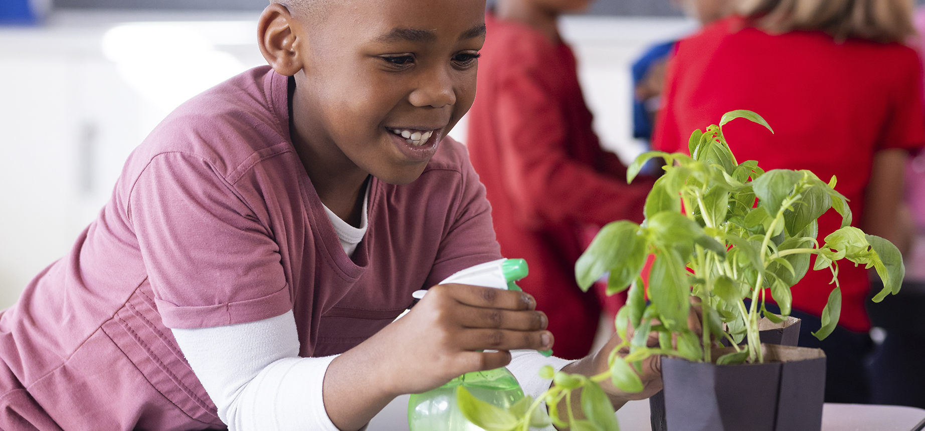 Banner do projeto Adote uma Escola, da Associação Verde Esperança, com chamada para revitalização de ambientes escolares e promoção de inclusão digital, arte e formação cidadã.