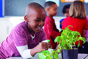 Projeto Adote uma Escola – laboratório de Artes e Sustentabilidade – Associação Verde Esperança - ESG - Ong Confiável