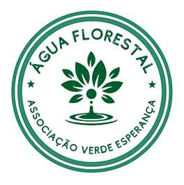 Como proteger a natureza e participar de causas ambientais confiáveis sendo uma empresa responsável.